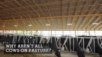 Why Aren’t All Cows on Pasture?