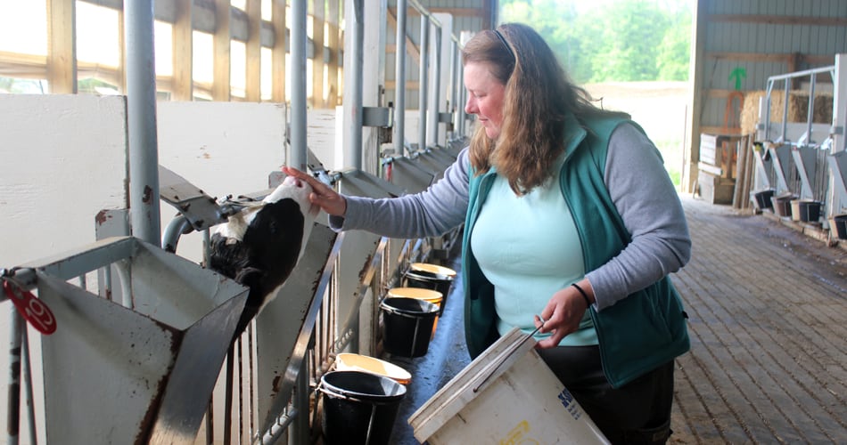 Kathy Ayers feeding a Holstein calf