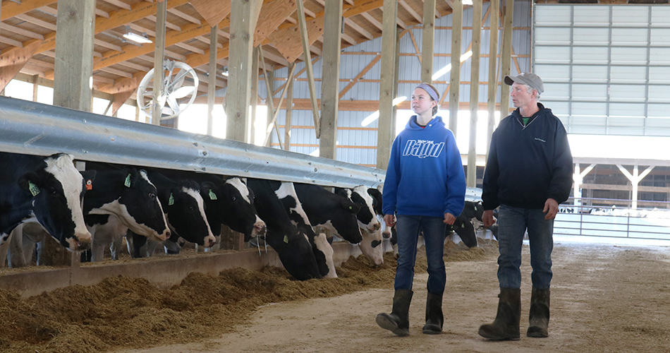 kelsey and roger walking through the free stall barn