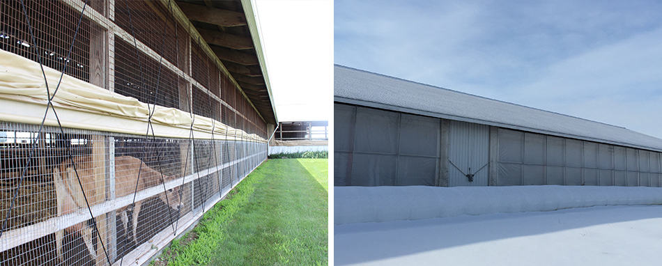 photo collage of barn with curtains up and barn with curtains down