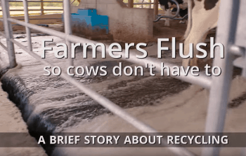 Farmers Flush So Cows Don’t Have To