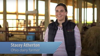 Know Your Dairy: All About Milk