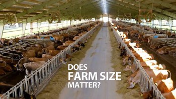 Does Farm Size Matter?