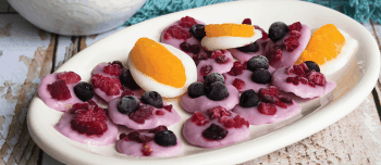 Frozen fruit & yogurt discs on a plate