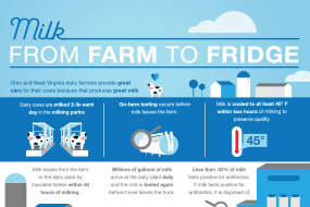 Milk: From Farm to Fridge