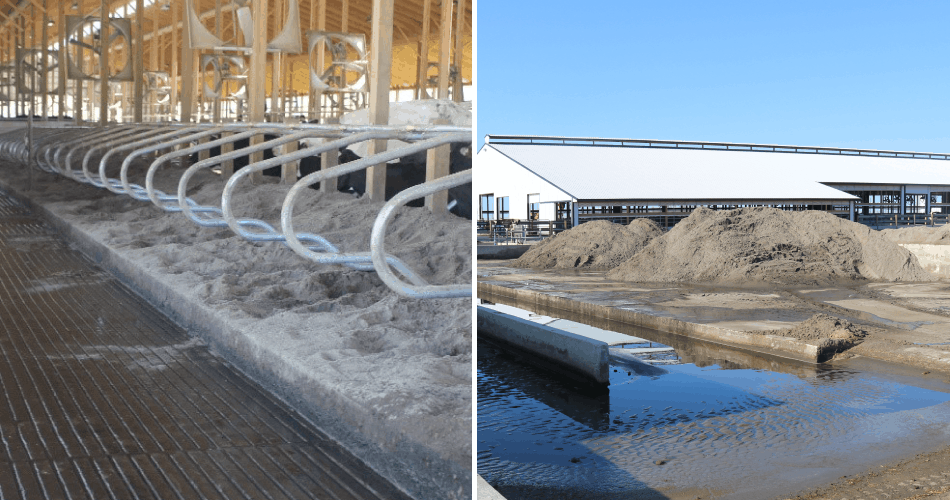 Photo collage of sand bedding and sand pile outside of barn