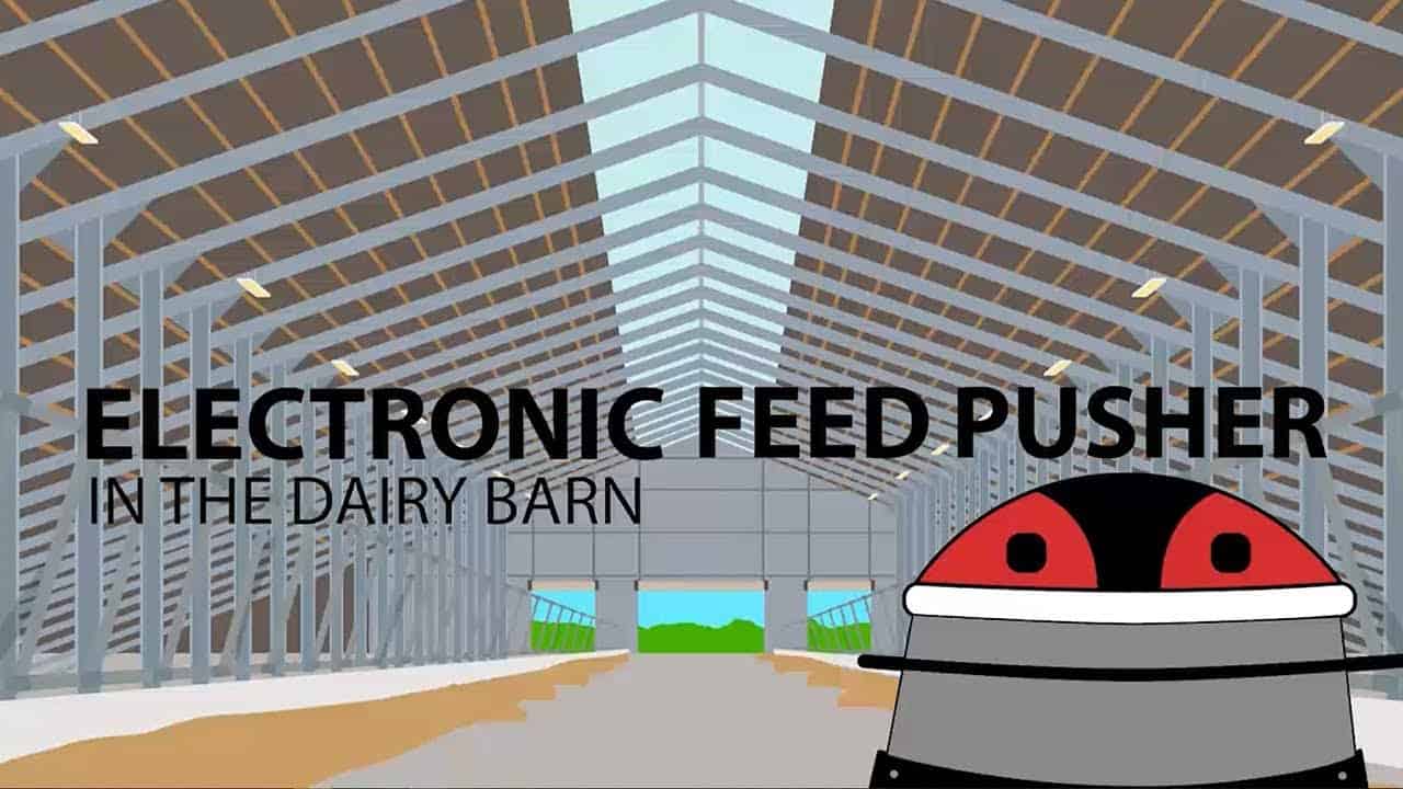 Electronic Feed Pusher in the Dairy Barn