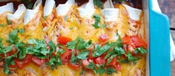 Three Cheese Enchiladas