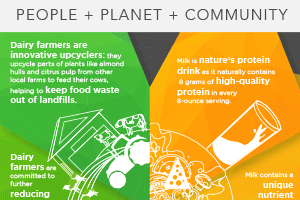 Sustainable Nutrition Infographic