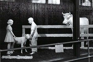 A Look Back at the Butter Cow Display