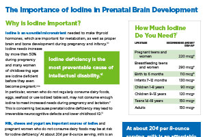 Importance of Iodine in Prenatal Brain Development