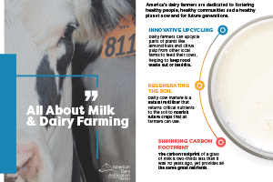 All About Milk & Dairy Farming