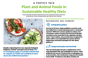 Plant and Animal Foods in Sustainable Healthy Diets