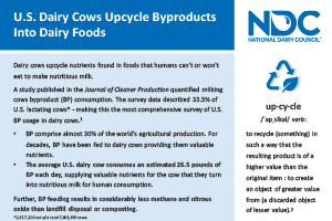 Dairy Cows Upcycle Byproducts Into Foods