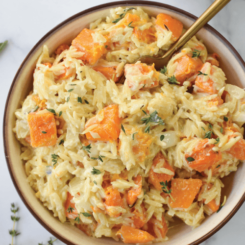 cheesy butternut squash orzo