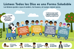 Dairy Every Day is a Healthy Way Poster (Spanish)