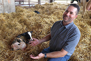Modern Dairy Farming: Caring for Cows