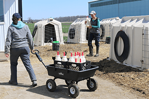 6 Genius Ways Farmers Reduce, Reuse & Recycle