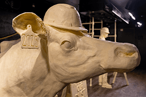 2025 Ohio State Fair Butter Cow Display