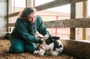 Meet Dr Allie Cain: Large Animal Veterinarian